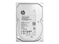 HP - Harddisk - 2 TB - intern - 3.5" - SATA 6Gb/s - 7200 rpm - for Workstation Z4 G4 (3.5") 8VE04AA#AC3