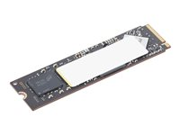 Lenovo - SSD - kryptert - 2 TB - intern - M.2 2280 - PCIe 4.0 (NVMe) - TCG Opal Encryption 2.0 - for ThinkPad L14 Gen 6; L16 Gen 2; P16s Gen 4; T14 Gen 6; T16 Gen 4; ThinkStation P3 Gen 2 4XB1T87555