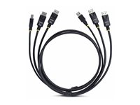 StarTech.com 6ft (1.8m) Dual-DisplayPort and USB 5Gbps KVM Cable - Tastatur / video / musekabel (KVM) - DisplayPort, USB-type A (hann) til DisplayPort, USB Type B (hann) - 1.83 m - 4K 60Hz støtte, HDR10-støtte - svart DDU1226-KVM-CABLE