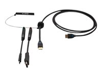 C2G 6ft (1.8m) 4K HDMI Premium Cable and Dongle Adapter Ring with Color Coded DisplayPort and USB-C - Videoadaptersett - svart - gullglimtkontakter, 4K 60Hz støtte, 4K30Hz-støtte (DisplayPort) C2G30053