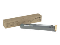 Xerox Phaser 7800 - Toneroppsamler - for Phaser 7800 108R00982