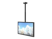 HI-ND Ceiling Casing 55" - Monteringssett (hylster) - landskap - for digitalsignerings-LCD-panel - metall - svart, RAL 9005 - skjermstørrelse: 55" - takmonterbar - for Samsung QB55, QM55; LG 55UH CC5500-0101-02