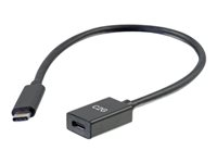 C2G 1ft USB-C to C 3.1 (Gen 1) Male to Female Extension Cable (5Gbps) - USB-forlengelseskabel - 24 pin USB-C (hann) til 24 pin USB-C (hunn) - USB 3.1 Gen 1 / Thunderbolt 3 - 3 A - 30 cm - formstøpt - svart 88655