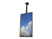 HI-ND Ceiling Casing 65" - Monteringssett (hylster) - portrett - for digitalsignerings-LCD-panel - svart, RAL 9005 - skjermstørrelse: 65" - takmonterbar CC6500-5001-02