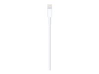 Apple - Lightning-kabel - Lightning hann til USB hann - 1 m MUQW3ZM/A