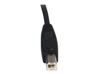 StarTech.com 2-in-1 USB KVM Cable - Keyboard / video / mouse / USB cable - HD-15 (VGA), USB Type B (M) to USB, HD-15 (VGA) - 6 ft - SVUSB2N1_6 - Tastatur / video / mus / USB-kabel - HD-15 (VGA), USB-type B (hann) til USB, HD-15 (VGA) - 1.8 m - for P/N: RKCOND17HD, SV231USBGB, SV231USBLC, SV431USB, SV431USBAE, SV431USBAEGB, SV431USBDDM SVUSB2N1_6