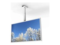 HI-ND - Monteringssett (hylster) - for flatpanel - landskap - hvit - skjermstørrelse: 50" - takmonterbar CC5012-0201-01