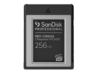 SanDisk Professional - Flashminnekort - 256 GB - CFexpress Type B - svart SDPCVN4-256G-GNANN