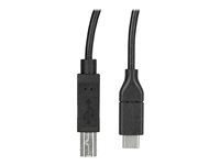 StarTech.com USB C to USB B Printer Cable - 10 ft / 3m - USB C Printer Cable - USB C to USB B Cable - USB Type C to Type B (USB2CB3M) - USB-kabel - USB-C (hann) rett til USB-type B (hann) rett - Thunderbolt 3 / USB 2.0 - 3 m - svart - for P/N: SV231DHU34K6, SV231HU34K6, SV231QDPU34K, SV431HU34K6 USB2CB3M
