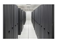 HPE SimpliVity 325 Gen11 - License To Use (LTU) - low - 1 prosessor S6D44AAE