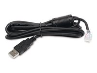 APC - USB-kabel - USB (hann) til RJ-45 (10-kontakts) (hann) - 1.8 m - svart - for Back-UPS LS 500 AP9827
