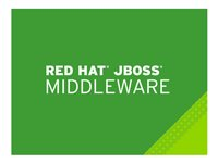 JBoss Enterprise Application Platform with Management - Standardabonnement (1 år) - 16 kjerner - ELS MW2122821