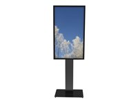 HI-ND Floorstand Glass - Stativ - for LCD-skjerm/digitalspiller - metall - svart, RAL 9005 - skjermstørrelse: 55" - monteringsgrensesnitt: 200 x 200 mm - plassering på gulv - for Samsung QM55R FS5511-5101-02