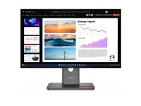 Lenovo ThinkVision P24Q-40 - LED-skjerm - Full HD (1080p) - 24" 64B2ZAT1EU