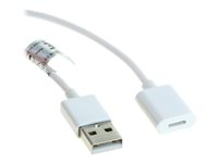 Insmat - Lightning-kabel - USB hann til Lightning hunn - 1 m - for Apple Pencil 133-1030
