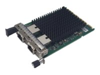 FUJITSU PLAN EP Intel X710-T2L - Nettverksadapter lav profil - 10GbE - for PRIMERGY RX2530 M6, RX2540 M6 PY-LA342U